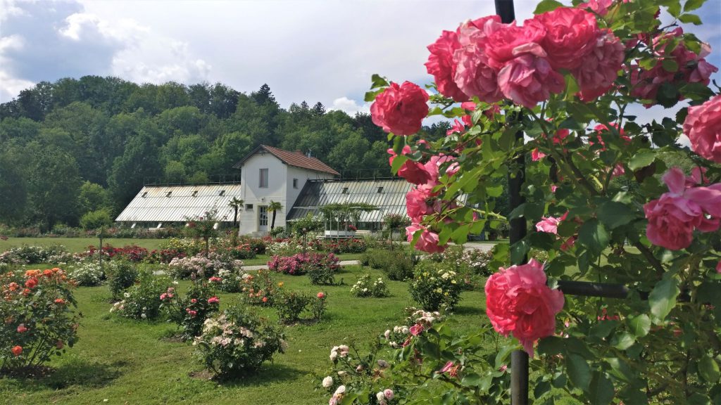 tivoli parkas liublijana slovenija